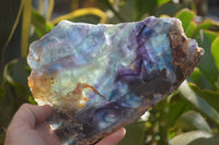 Polished Watermelon Fluorite Slice x 1 From Uis, Namibia