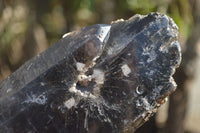 Natural Half Polished Smokey Quartz Crystals x 2 From Zomba, Malawi