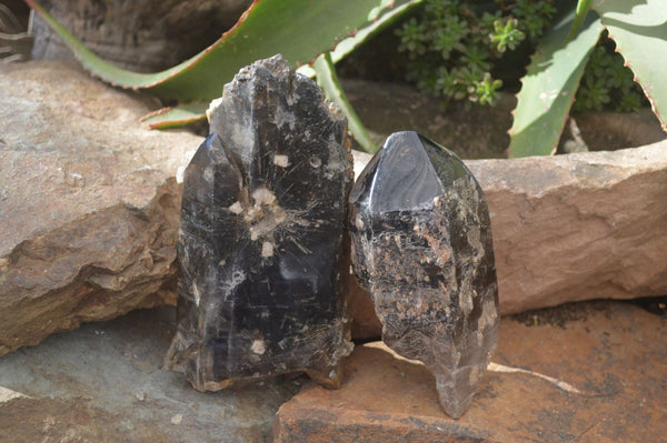 Natural Half Polished Smokey Quartz Crystals x 2 From Zomba, Malawi