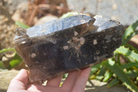 Natural Half Polished Smokey Quartz Crystals x 2 From Zomba, Malawi