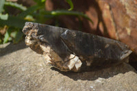 Natural Half Polished Smokey Quartz Crystals x 2 From Zomba, Malawi