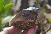 Natural Half Polished Smokey Quartz Crystals x 2 From Zomba, Malawi