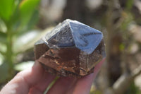 Natural Half Polished Smokey Quartz Crystals x 2 From Zomba, Malawi