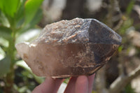 Natural Half Polished Smokey Quartz Crystals x 2 From Zomba, Malawi