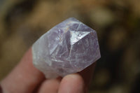 Natural Jacaranda Amethyst Single Crystals x 35 From Mumbwa, Zambia