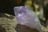 Natural Jacaranda Amethyst Single Crystals x 35 From Mumbwa, Zambia