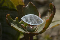 Polished Clear Quartz "Angel Tears" Pendant Pieces x 20 From Madagascar