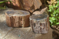 Polished Petrified Wood Branch Pieces x 4 From Gokwe, Zimbabwe