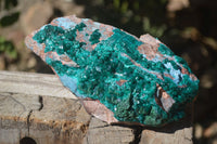 Natural Emerald Dioptase Specimen x 1 From Congo