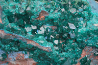 Natural Emerald Dioptase Specimen x 1 From Congo