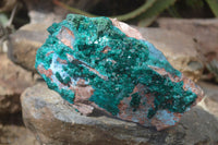 Natural Emerald Dioptase Specimen x 1 From Congo