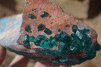 Natural Emerald Dioptase Specimen x 1 From Congo