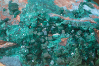 Natural Emerald Dioptase Specimen x 1 From Congo