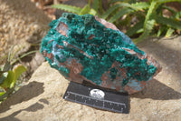 Natural Emerald Dioptase Specimen x 1 From Congo