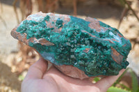 Natural Emerald Dioptase Specimen x 1 From Congo