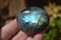 Polished Labradorite Galet / Palm Stones x 12 From Tulear, Madagascar