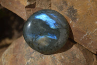 Polished Labradorite Galet / Palm Stones x 12 From Tulear, Madagascar