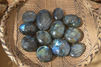 Polished Labradorite Galet / Palm Stones x 12 From Tulear, Madagascar