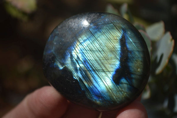 Polished Labradorite Galet / Palm Stones x 12 From Tulear, Madagascar