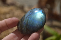 Polished Labradorite Galet / Palm Stones x 12 From Tulear, Madagascar