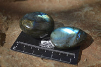 Polished Labradorite Galet / Palm Stones x 12 From Tulear, Madagascar