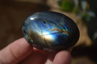 Polished Labradorite Galet / Palm Stones x 12 From Tulear, Madagascar