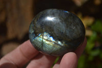 Polished Labradorite Galet / Palm Stones x 12 From Tulear, Madagascar