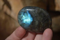 Polished Labradorite Galet / Palm Stones x 12 From Tulear, Madagascar