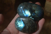 Polished Labradorite Galet / Palm Stones x 12 From Tulear, Madagascar