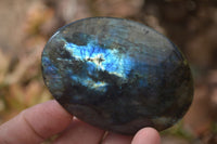 Polished Labradorite Galet / Palm Stones x 12 From Tulear, Madagascar