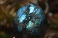 Polished Labradorite Galet / Palm Stones x 12 From Tulear, Madagascar