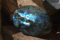 Polished Labradorite Galet / Palm Stones x 12 From Tulear, Madagascar