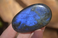 Polished Labradorite Galet / Palm Stones x 12 From Tulear, Madagascar