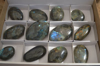 Polished Labradorite Galet / Palm Stones x 12 From Tulear, Madagascar