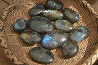 Polished Labradorite Galet / Palm Stones x 12 From Tulear, Madagascar