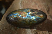 Polished Labradorite Galet / Palm Stones x 12 From Tulear, Madagascar