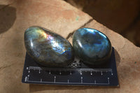 Polished Labradorite Galet / Palm Stones x 12 From Tulear, Madagascar