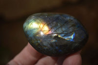 Polished Labradorite Galet / Palm Stones x 12 From Tulear, Madagascar