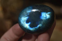 Polished Labradorite Galet / Palm Stones x 12 From Tulear, Madagascar