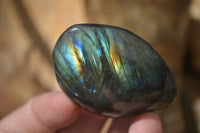 Polished Labradorite Galet / Palm Stones x 12 From Tulear, Madagascar