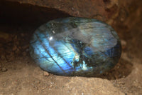 Polished Labradorite Galet / Palm Stones x 12 From Tulear, Madagascar