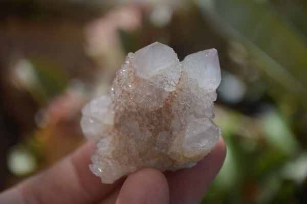 Natural Limonite Spirit Quartz Clusters x 35 From Boekenhouthoek, South Africa