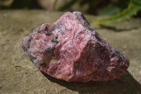 Natural Rhodonite Cobbed Specimens x 6 From Zimbabwe