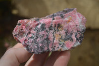 Natural Rhodonite Cobbed Specimens x 6 From Zimbabwe