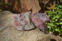 Natural Rhodonite Cobbed Specimens x 6 From Zimbabwe