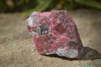 Natural Rhodonite Cobbed Specimens x 6 From Zimbabwe