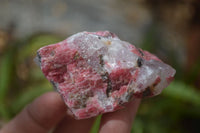 Natural Rhodonite Cobbed Specimens x 6 From Zimbabwe