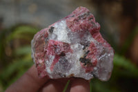 Natural Rhodonite Cobbed Specimens x 6 From Zimbabwe