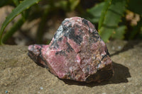 Natural Rhodonite Cobbed Specimens x 6 From Zimbabwe