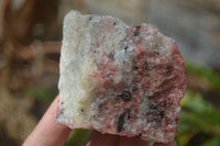 Natural Rhodonite Cobbed Specimens x 6 From Zimbabwe